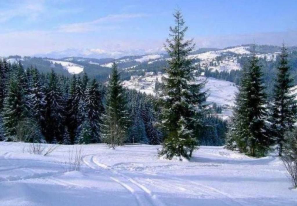 Дома для отпуска Goryanka Hotel Микуличин-109