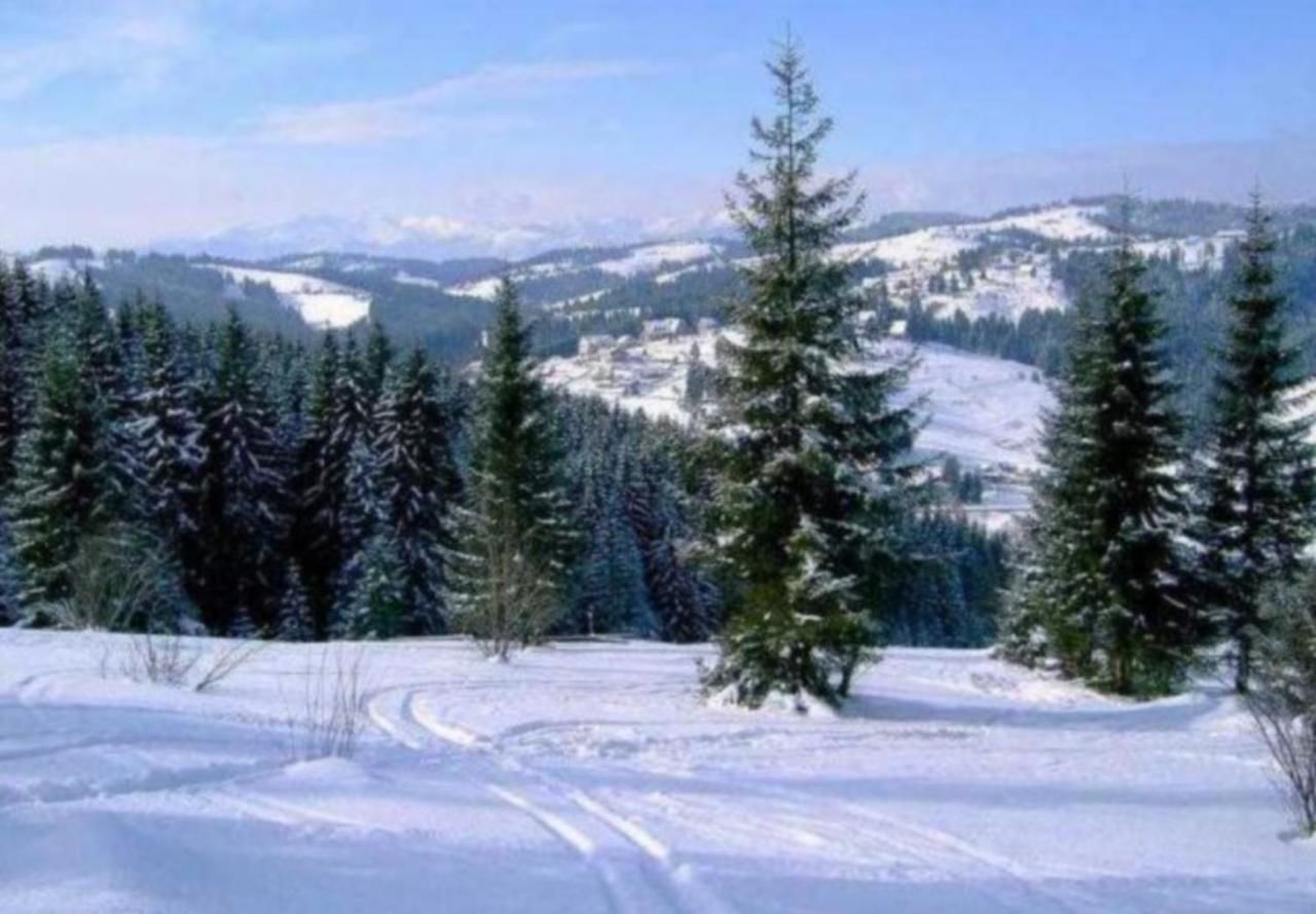 Дома для отпуска Goryanka Hotel Микуличин-38