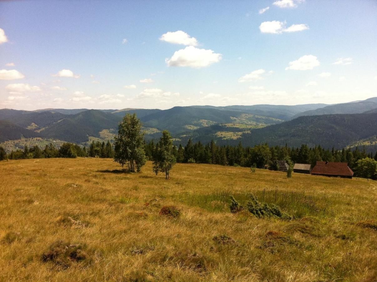 Дома для отпуска Goryanka Hotel Микуличин-47