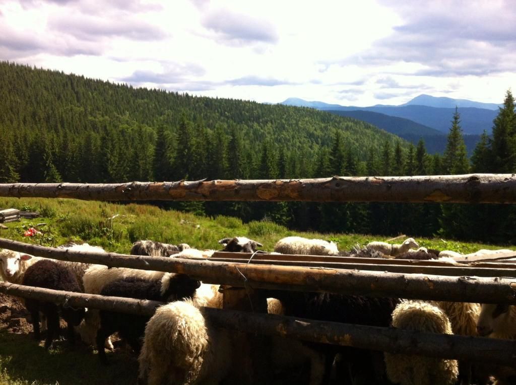 Дома для отпуска Goryanka Hotel Микуличин-75