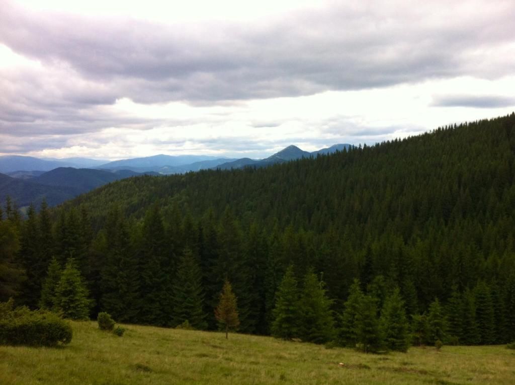 Дома для отпуска Goryanka Hotel Микуличин-84