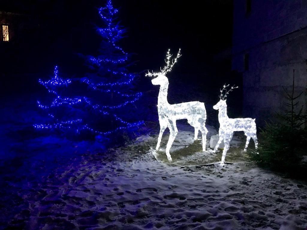 Дома для отпуска Goryanka Hotel Микуличин-98