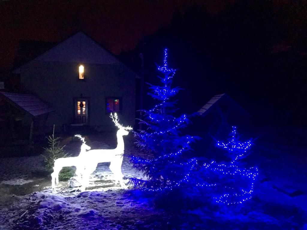 Дома для отпуска Goryanka Hotel Микуличин-99