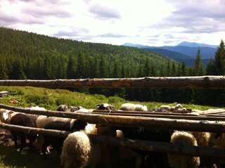 Дома для отпуска Goryanka Hotel Микуличин Дом с 7 комнатами-72