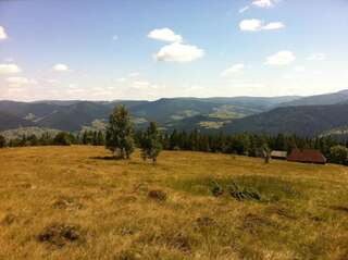 Дома для отпуска Goryanka Hotel Микуличин Дом с 7 комнатами-75