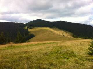 Дома для отпуска Goryanka Hotel Микуличин Дом с 7 комнатами-78