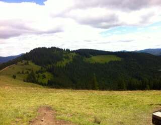 Дома для отпуска Goryanka Hotel Микуличин Дом с 7 комнатами-80