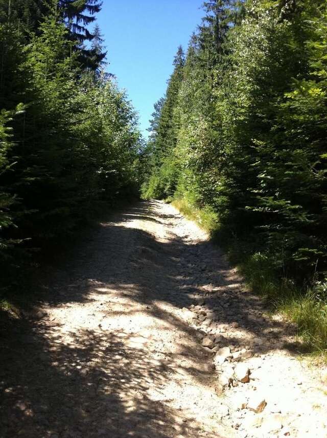 Дома для отпуска Goryanka Hotel Микуличин-43