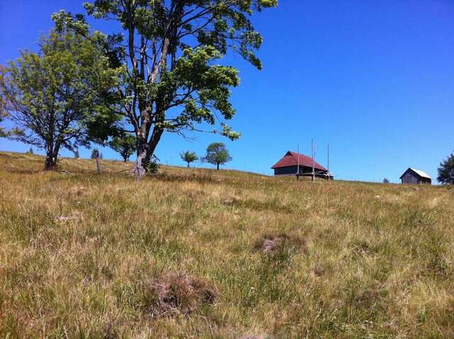 Дома для отпуска Goryanka Hotel Микуличин-45