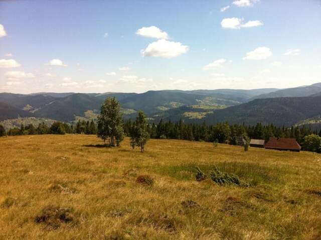 Дома для отпуска Goryanka Hotel Микуличин-46