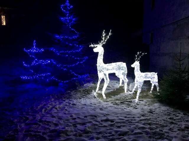 Дома для отпуска Goryanka Hotel Микуличин-97